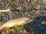 12' 9" 8-wt, 6 pc. Swing the Fly Rod, "El Dos," by R.B. Meiser