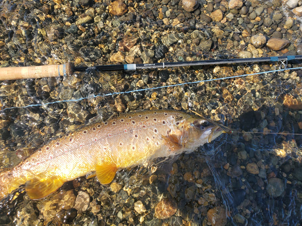 13' 3" 7-wt., 6-pc. Swing the Fly Rod, "El Uno," by R.B. Meiser